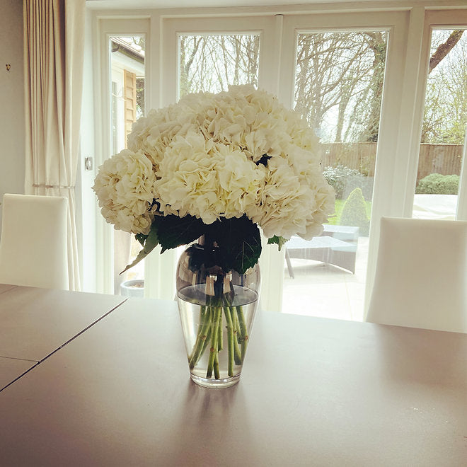 Beauty | Hydrangea Bouquet